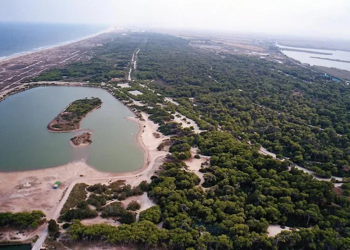 Fantastic Near Lejlighed Valencia